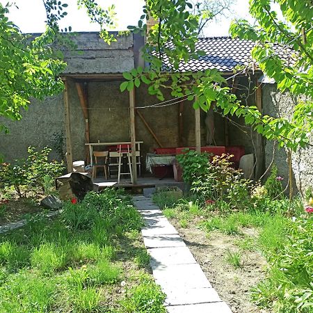 Дом У Моря С Бассейном И Сауной Odessa Buitenkant foto